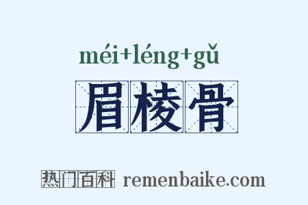 眉棱骨是什么意思的图片
